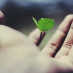 Change Your Life Books Lifehyme