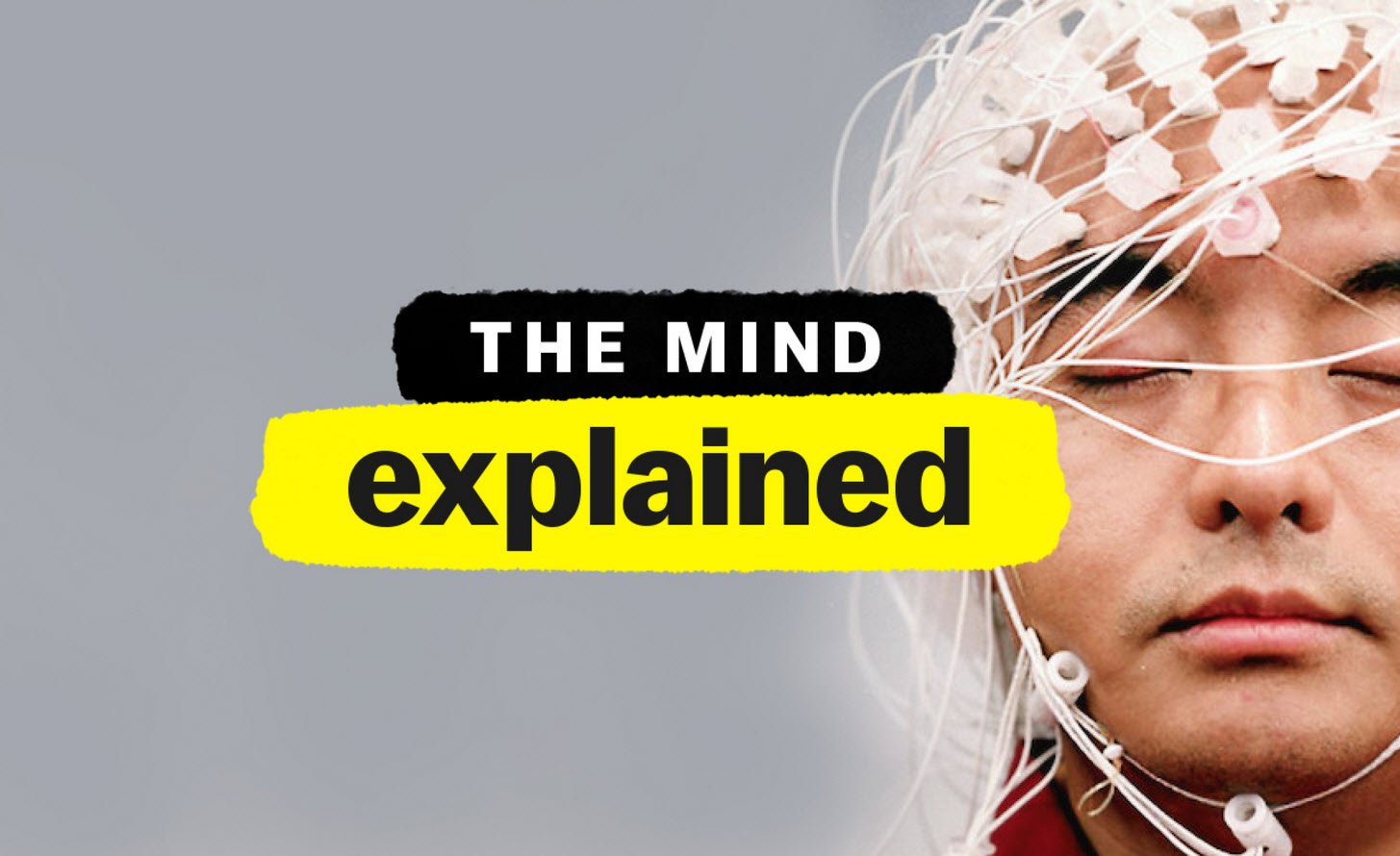 The Mind Explained Lifehyme