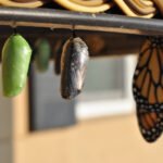 Personal Growth