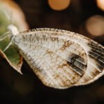 Transformative Questions